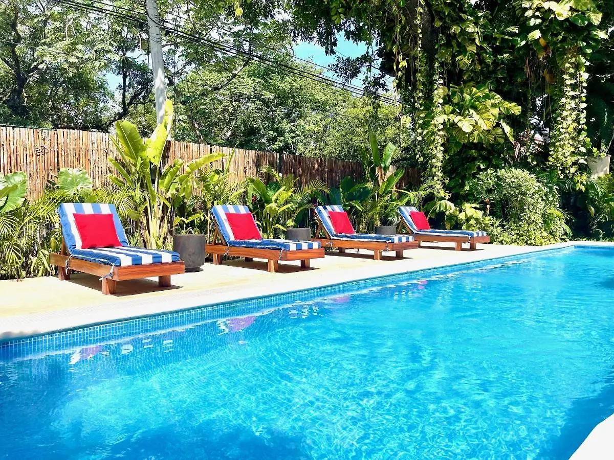 Lägenhet Comfortable Department Playa Del Carmen